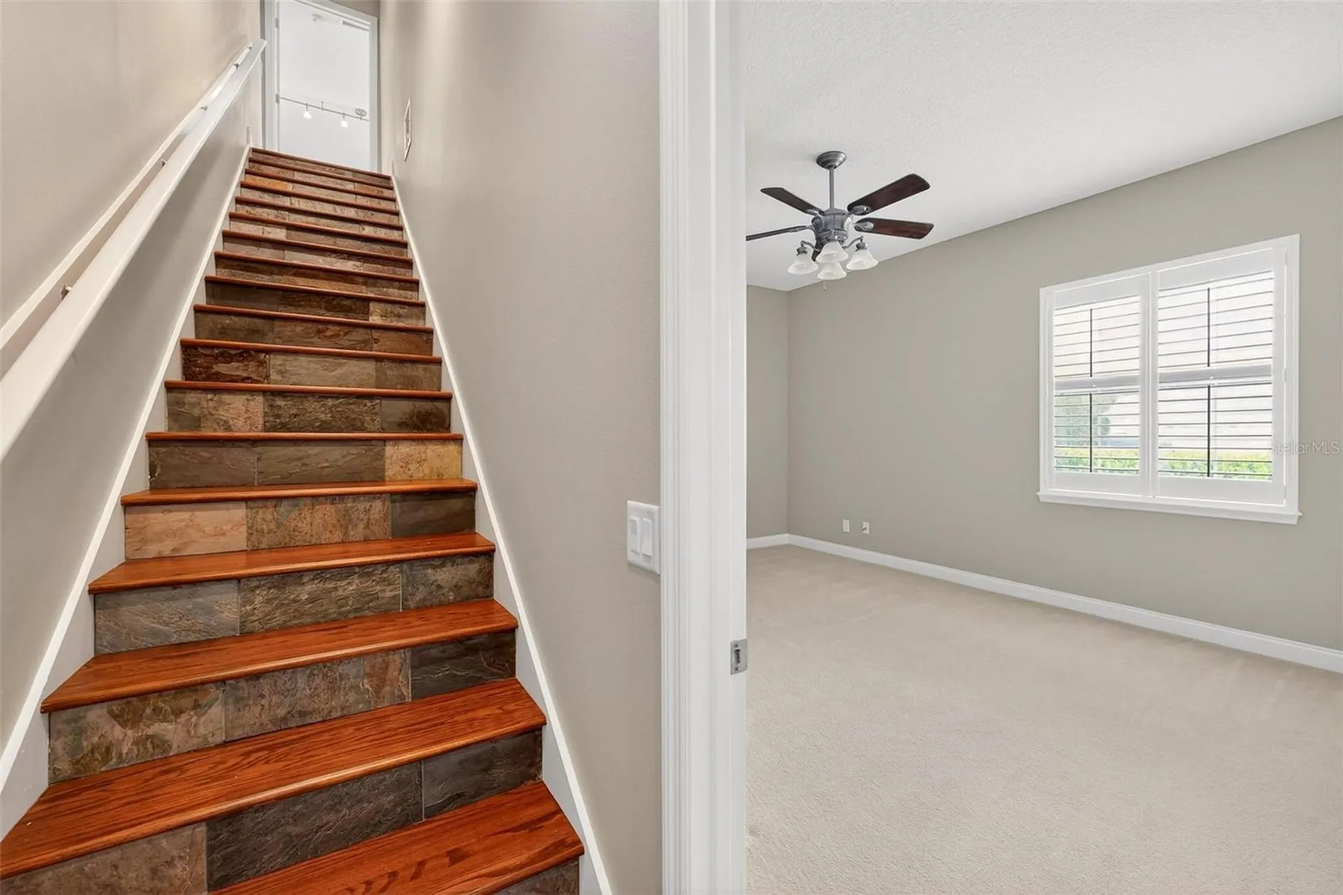 4520 Claire Rose Court Mount Dora FL 32757