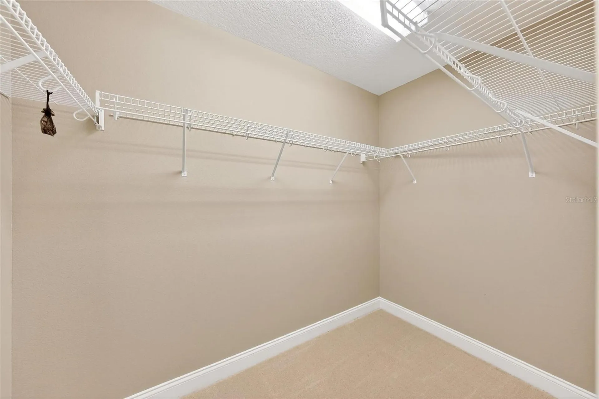 4520 Claire Rose Court Mount Dora FL 32757