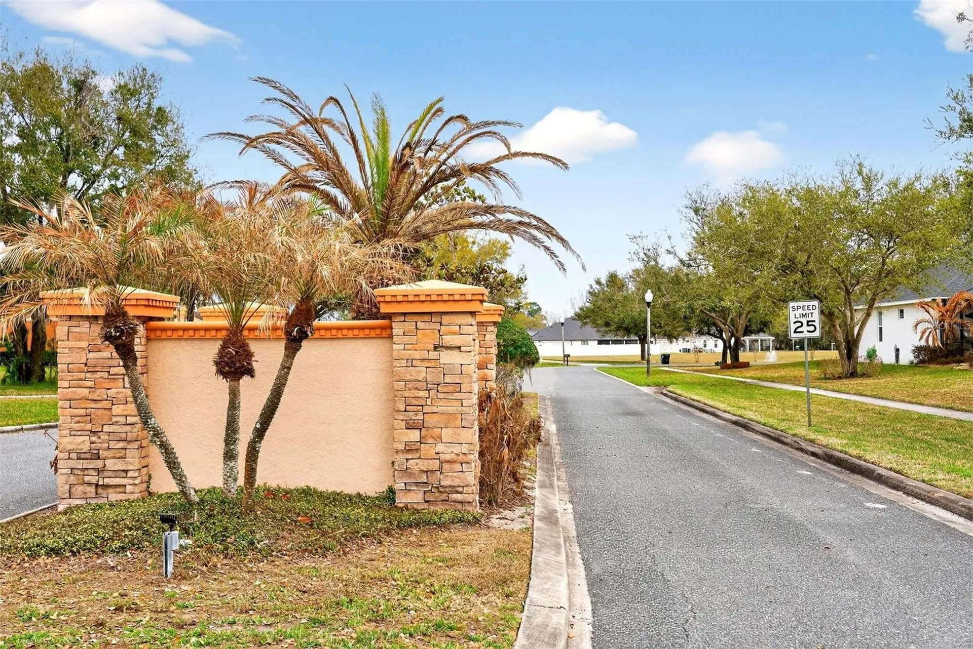 4520 Claire Rose Court Mount Dora FL 32757