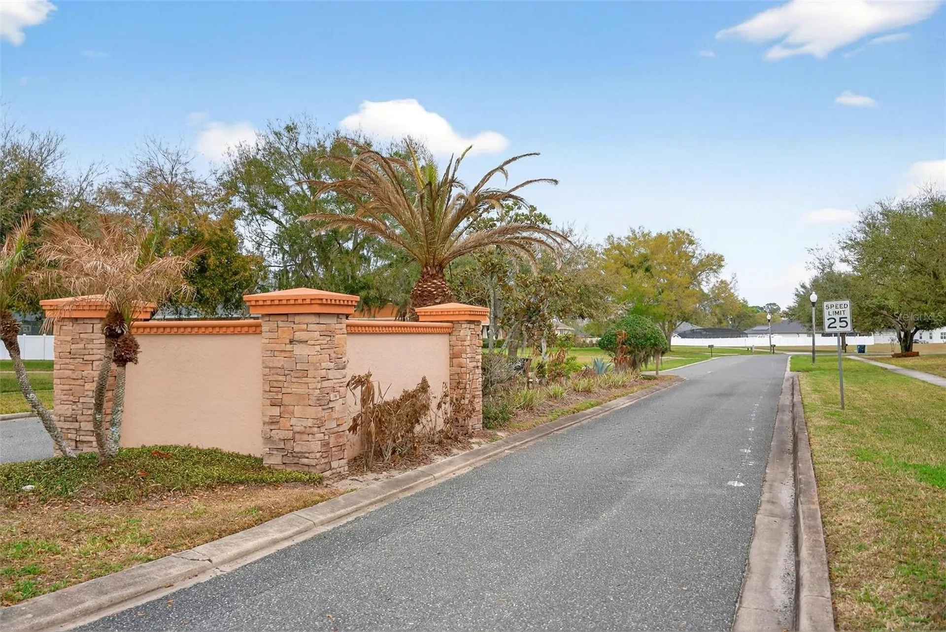4520 Claire Rose Court Mount Dora FL 32757