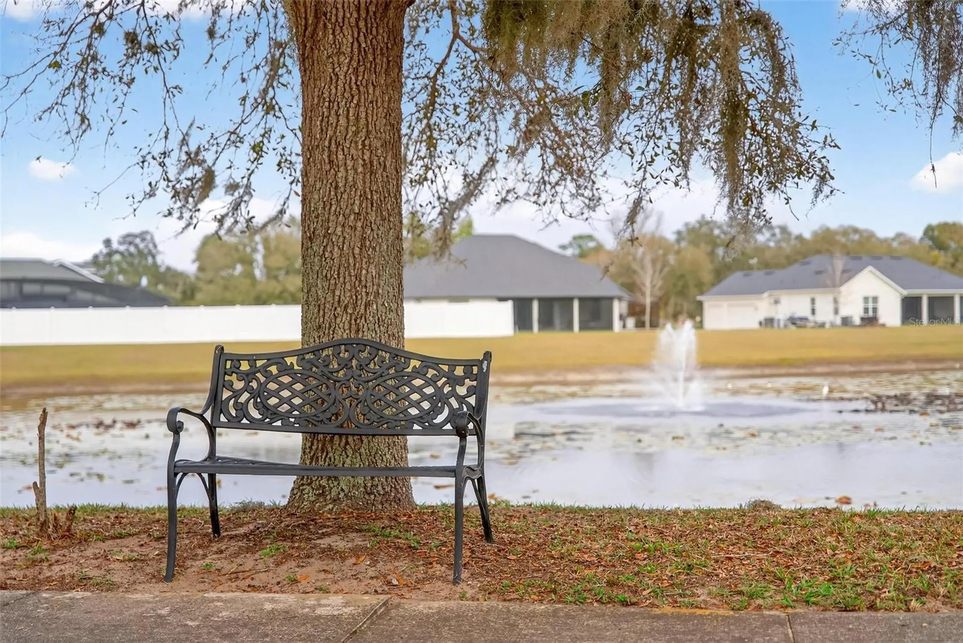 4520 Claire Rose Court Mount Dora FL 32757