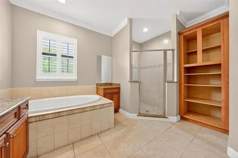 4520 Claire Rose Court Mount Dora FL 32757