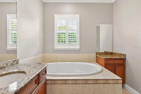 4520 Claire Rose Court Mount Dora FL 32757
