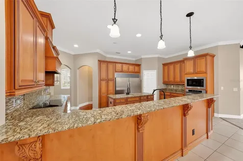 4520 Claire Rose Court Mount Dora FL 32757