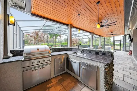 4520 Claire Rose Court Mount Dora FL 32757