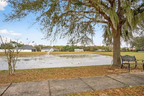 4520 Claire Rose Court Mount Dora FL 32757