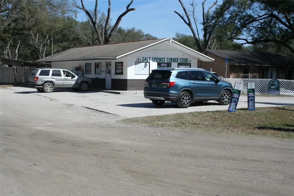 12959 NE 250th Court Salt Springs FL 32134
