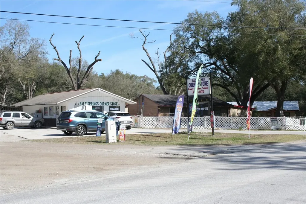 12959 NE 250th Court Salt Springs FL 32134
