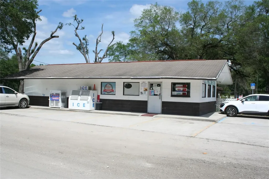 12959 NE 250th Court Salt Springs FL 32134