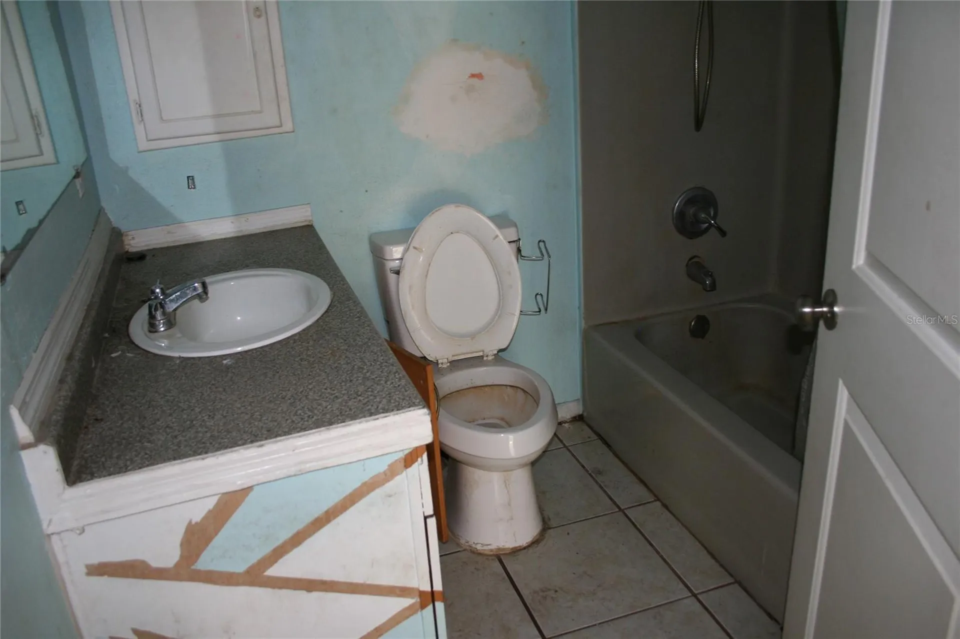 12959 NE 250th Court Salt Springs FL 32134