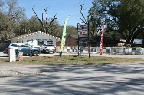 12959 NE 250th Court Salt Springs FL 32134