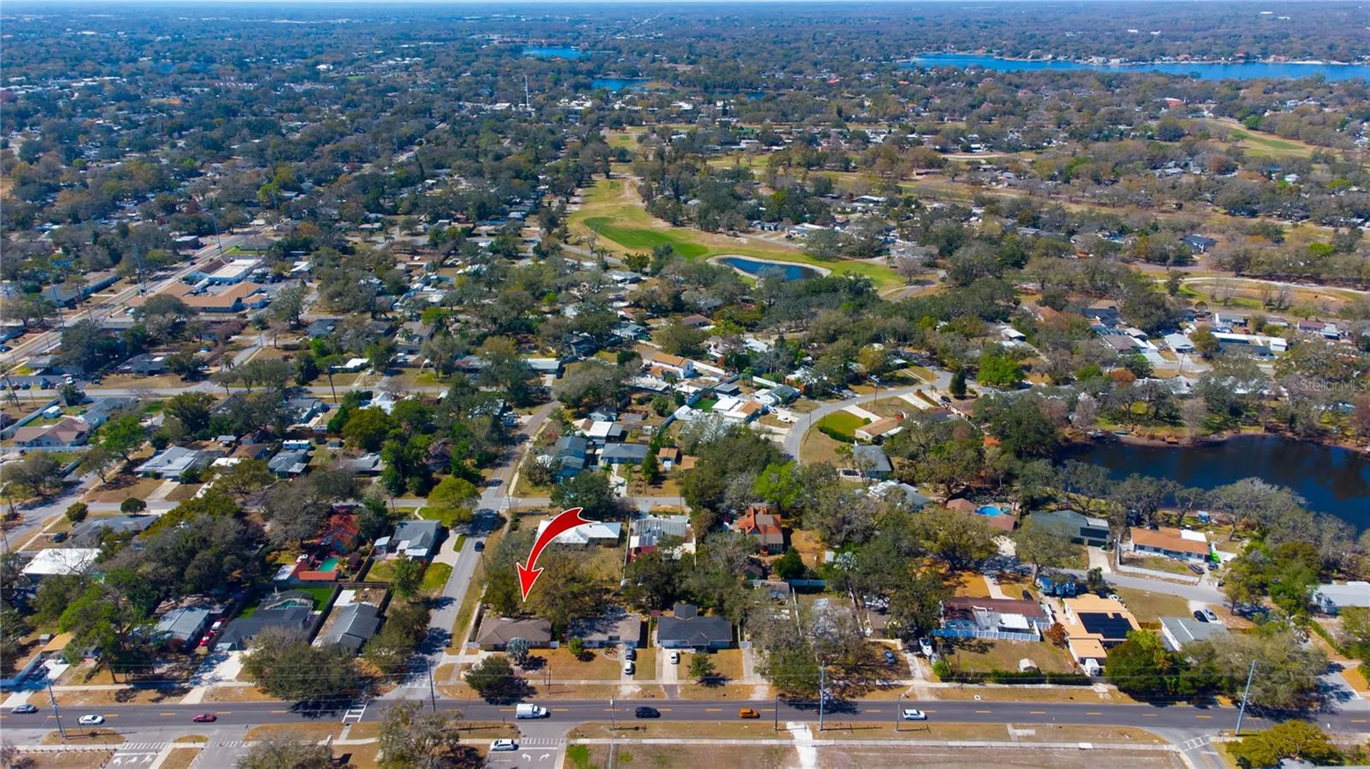 10202 N Boulevard Tampa FL 33612