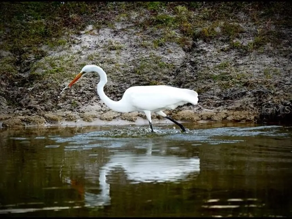 35005 Clay Gully Road Myakka City FL 34251