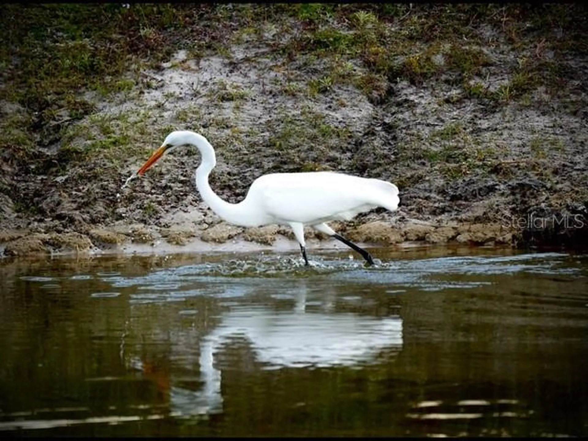 35005 Clay Gully Road Myakka City FL 34251
