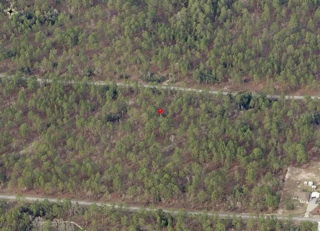 Lot 7 NW Hemlock Avenue Dunnellon FL 34431