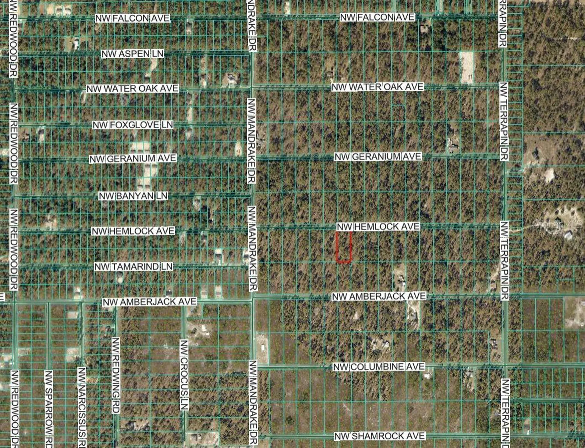Lot 7 NW Hemlock Avenue Dunnellon FL 34431