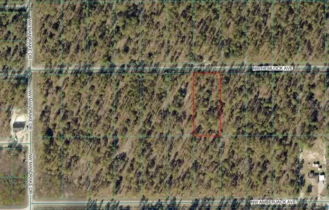 Lot 7 NW Hemlock Avenue Dunnellon FL 34431