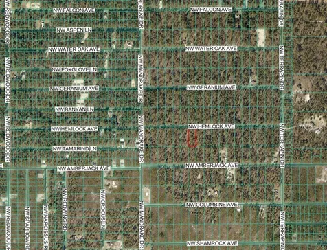 Lot 7 NW Hemlock Avenue Dunnellon FL 34431