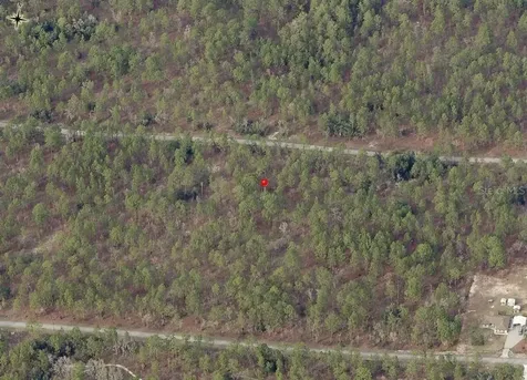 Lot 7 NW Hemlock Avenue Dunnellon FL 34431