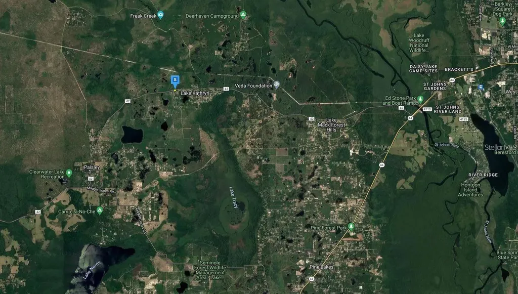 27654 County Road 42 Paisley FL 32767