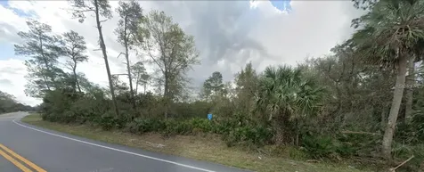 27654 County Road 42 Paisley FL 32767