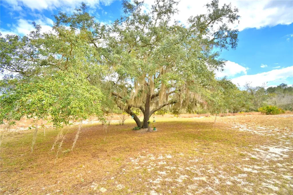 23 Armadillo Road Frostproof FL 33843