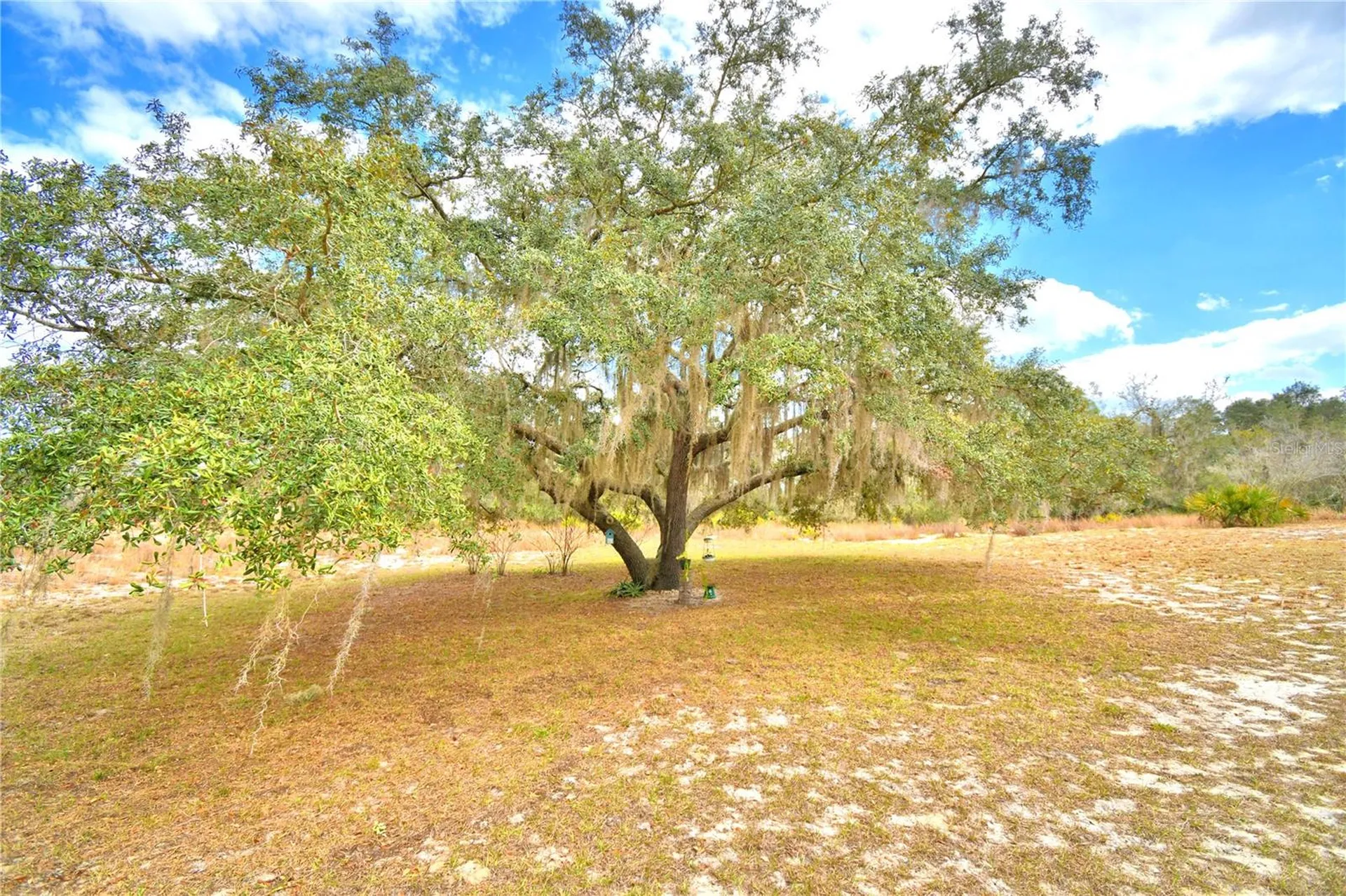 23 Armadillo Road Frostproof FL 33843