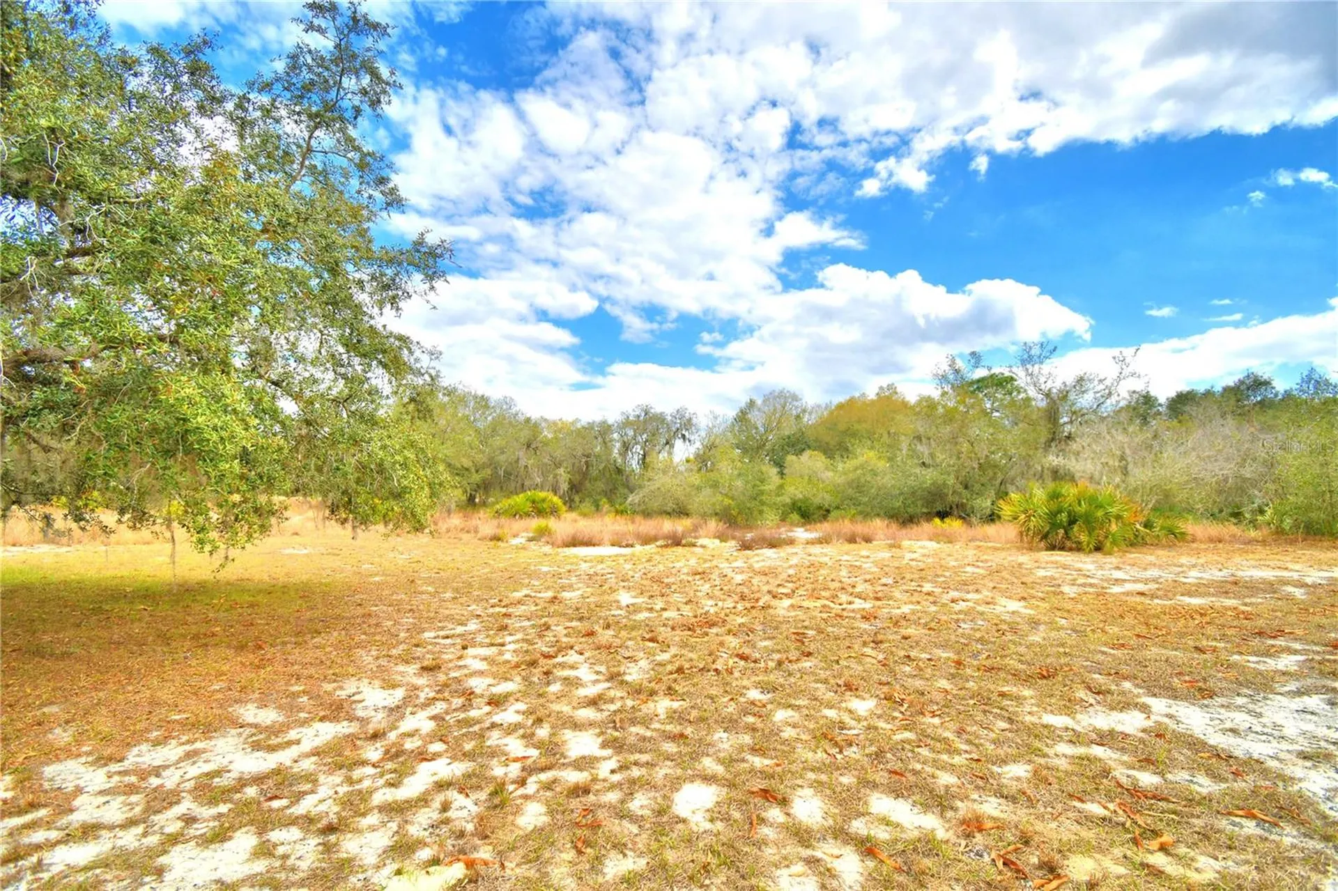 23 Armadillo Road Frostproof FL 33843