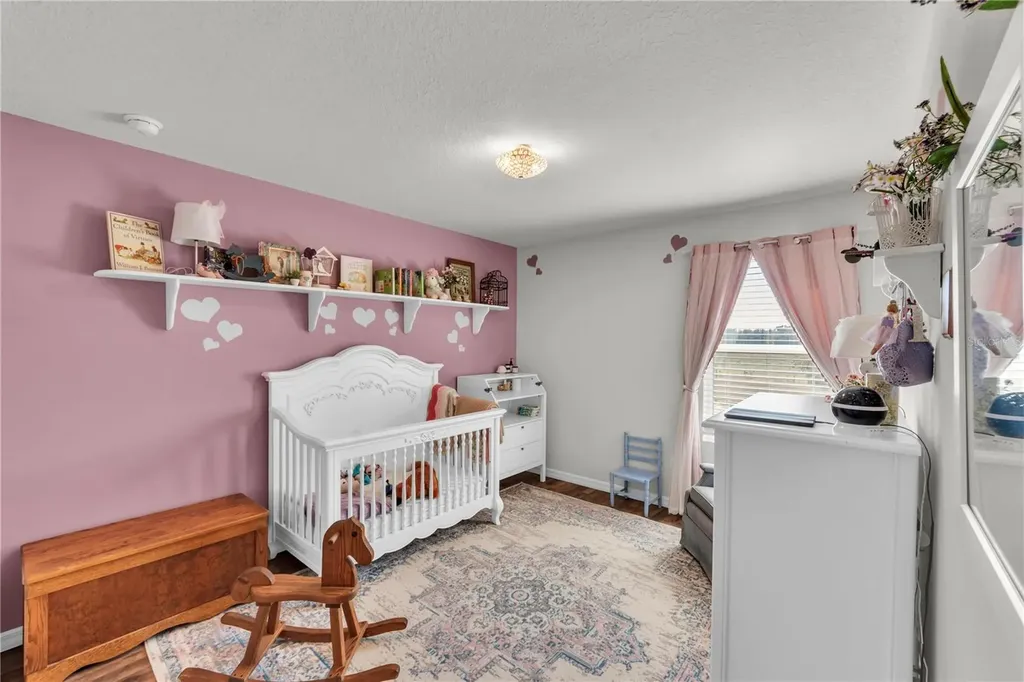 3070 Forrest Plum Court Zephyrhills FL 33540