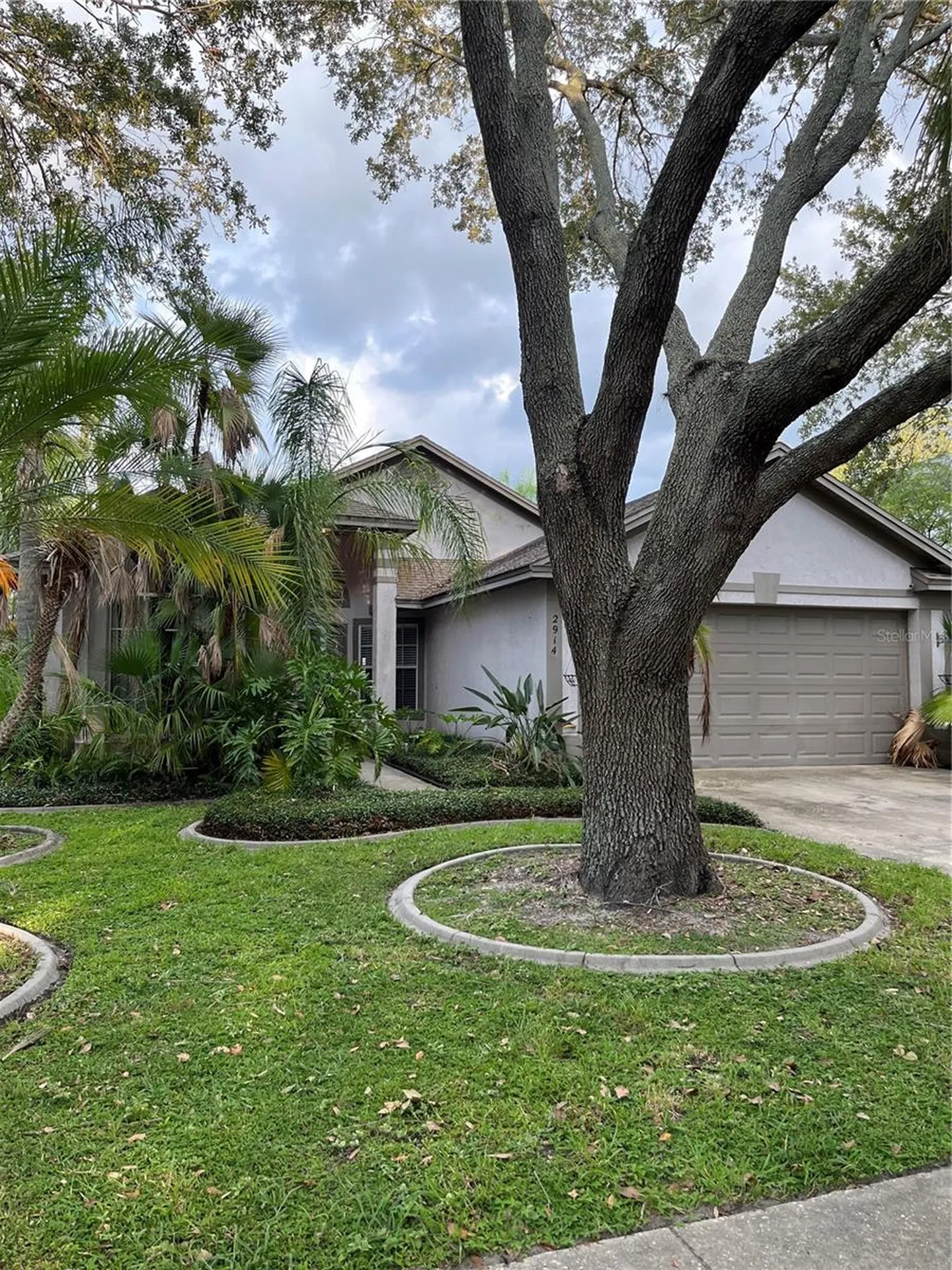 2914 Shannon Circle Palm Harbor FL 34684