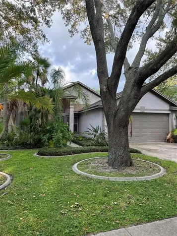 2914 Shannon Circle Palm Harbor FL 34684