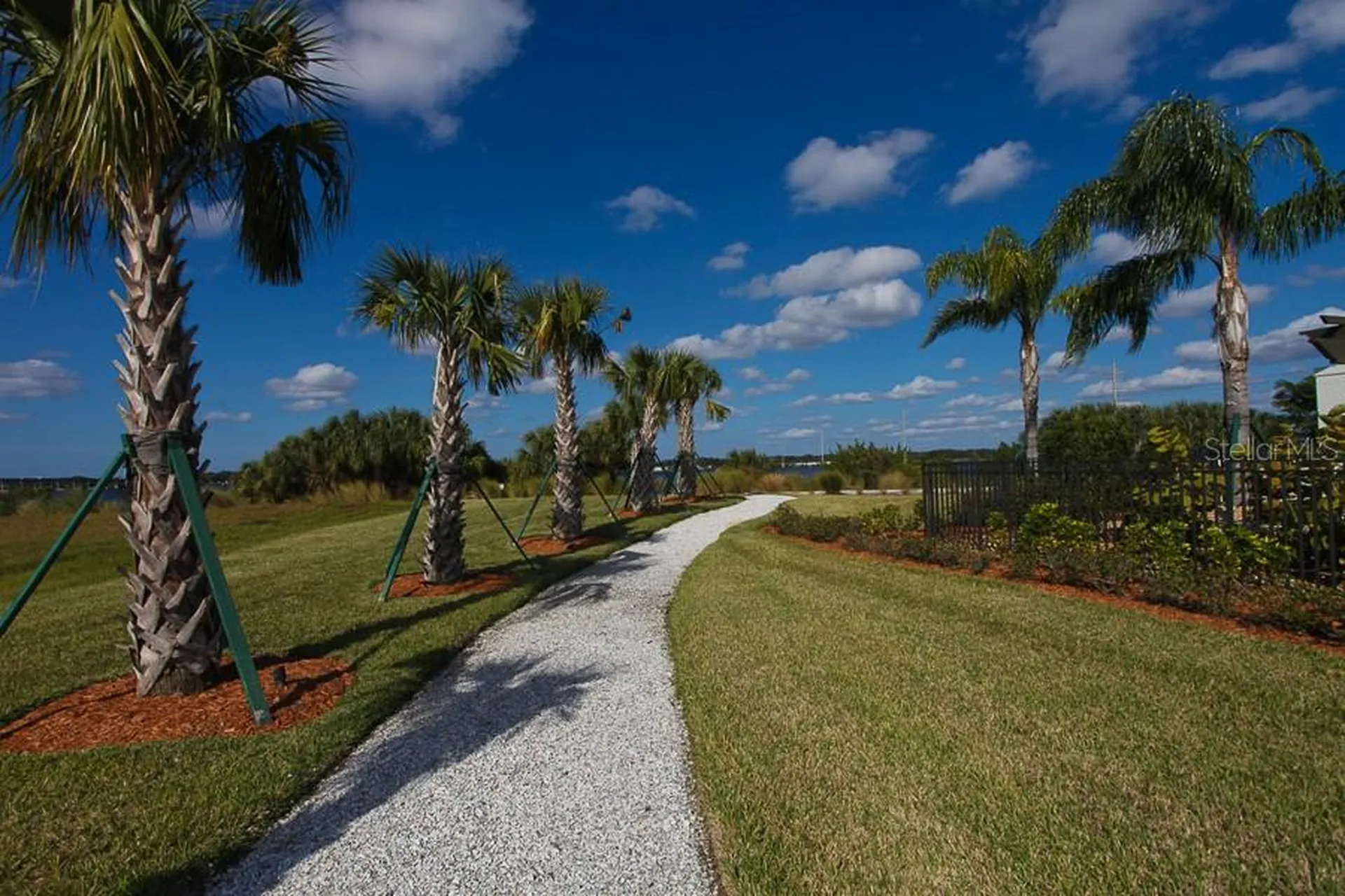 904 Riverscape Street Bradenton FL 34208