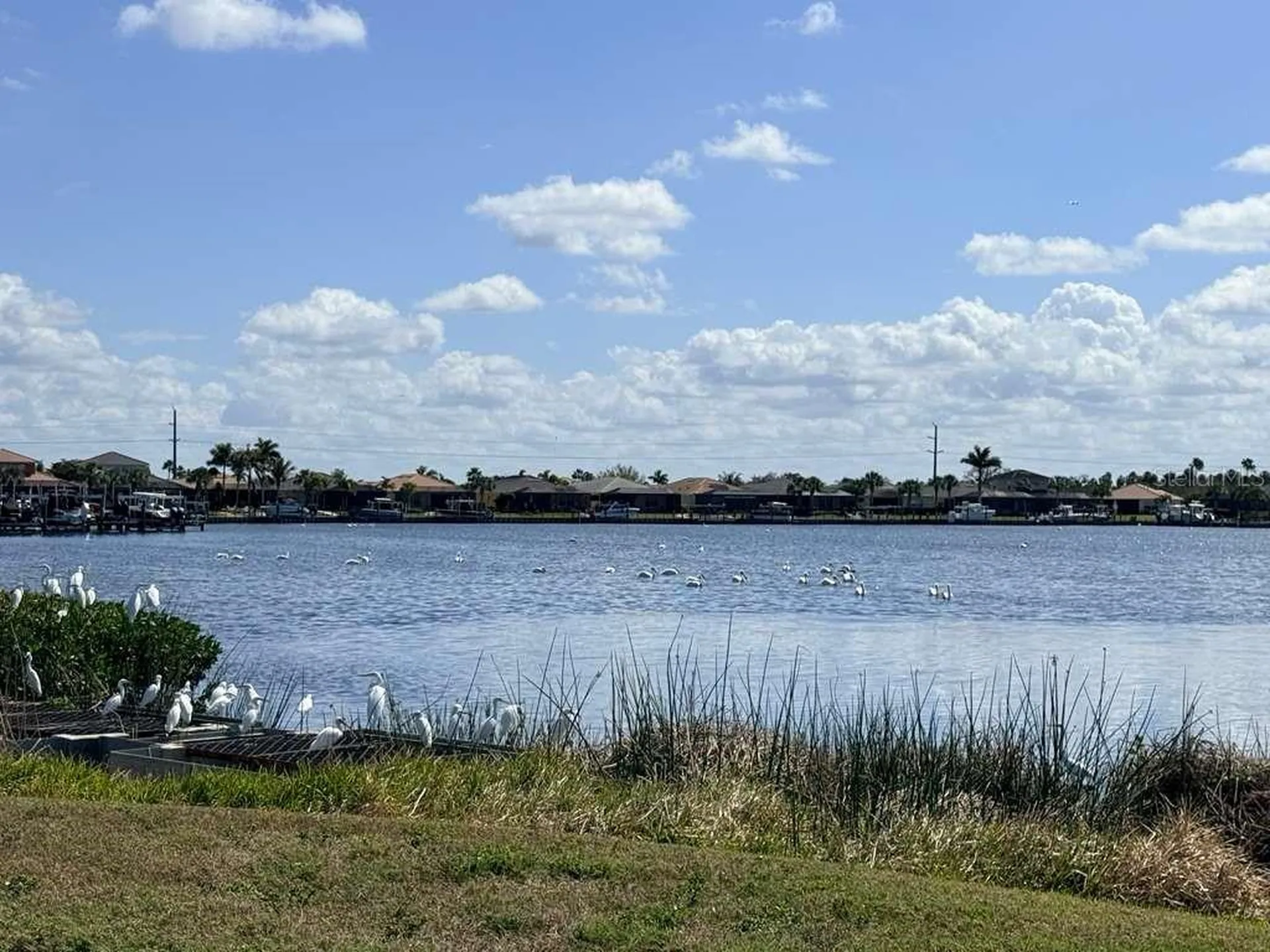 904 Riverscape Street Bradenton FL 34208