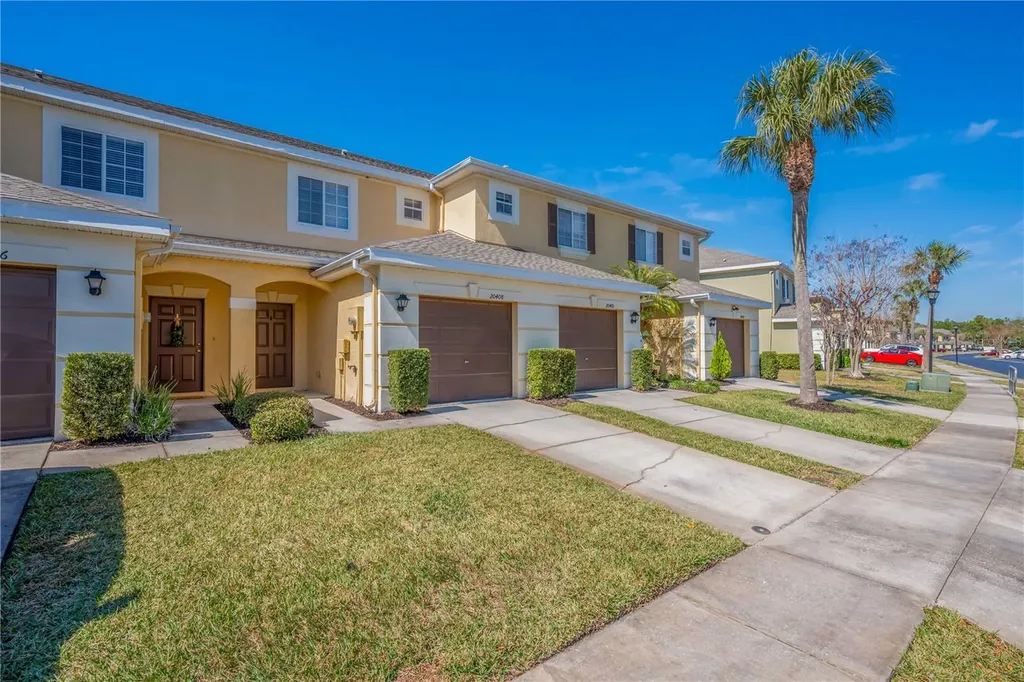 20408 Needletree Drive Tampa FL 33647