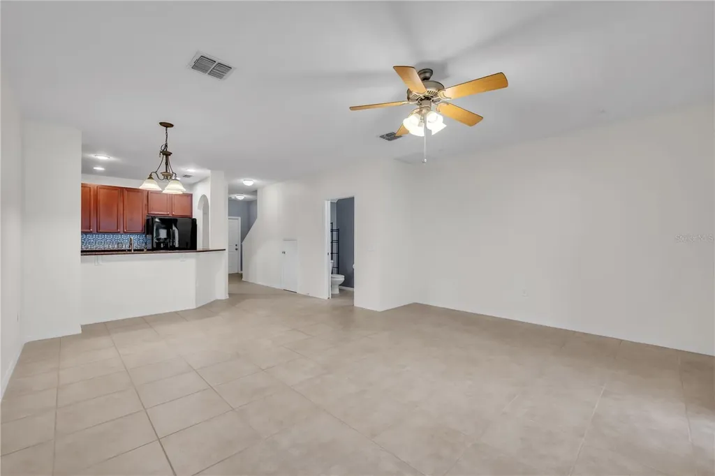 20408 Needletree Drive Tampa FL 33647