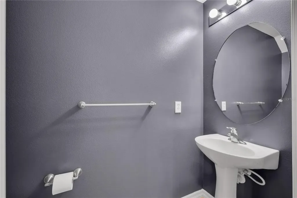 20408 Needletree Drive Tampa FL 33647