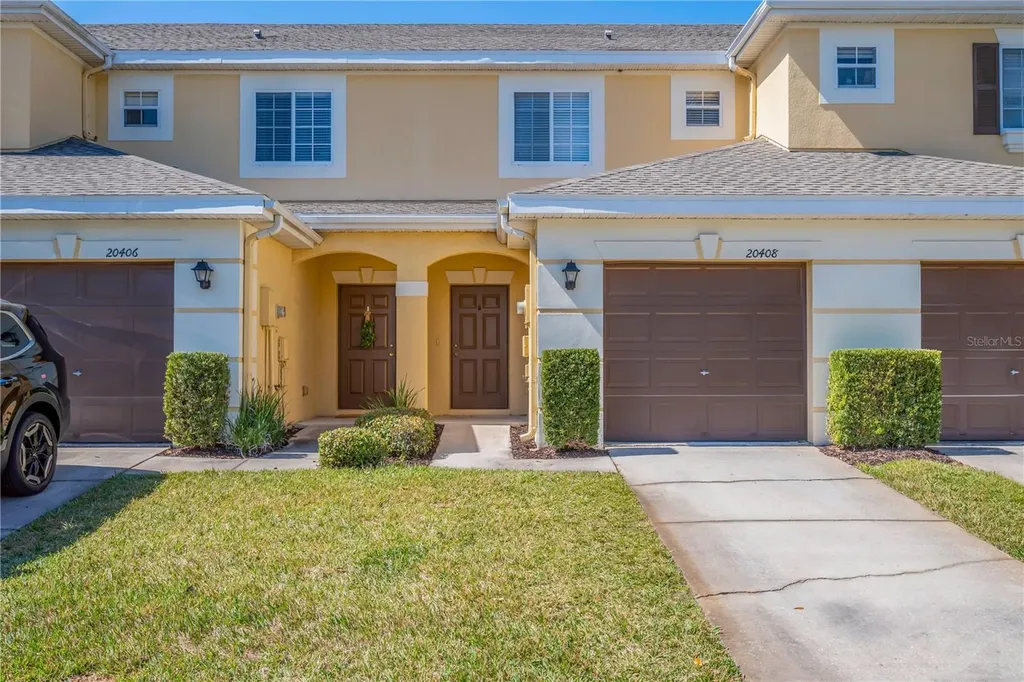 20408 Needletree Drive Tampa FL 33647