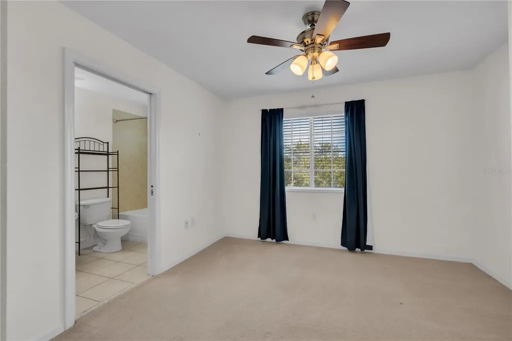 20408 Needletree Drive Tampa FL 33647