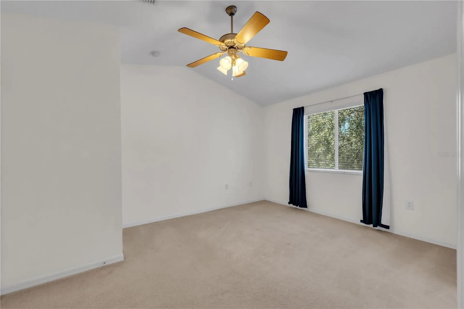 20408 Needletree Drive Tampa FL 33647