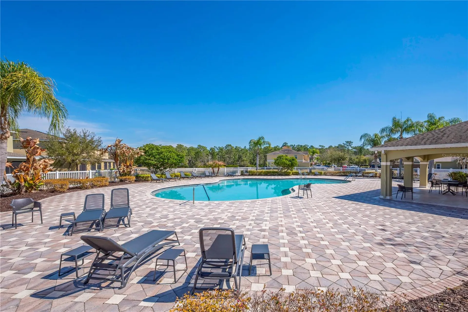 20408 Needletree Drive Tampa FL 33647