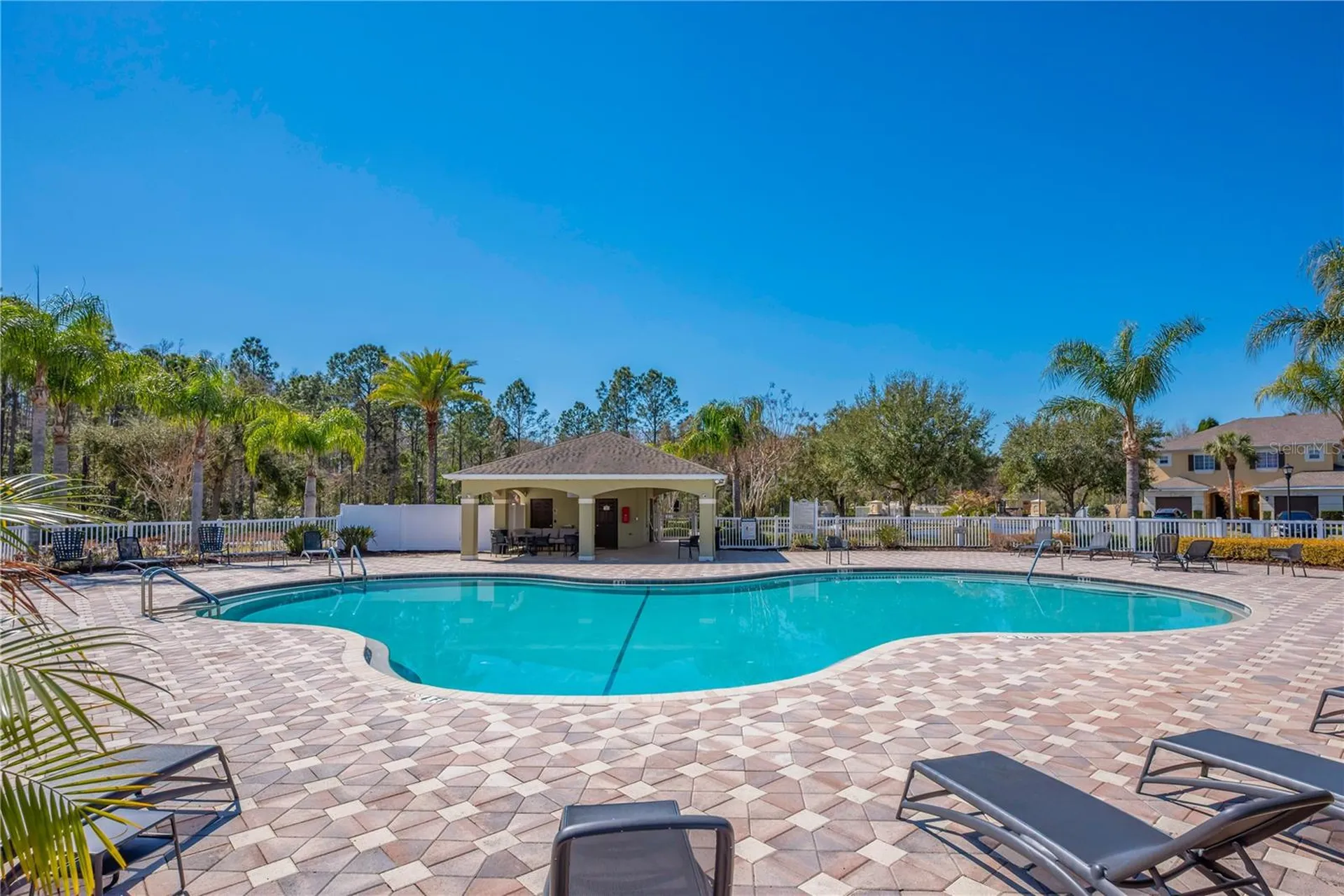 20408 Needletree Drive Tampa FL 33647