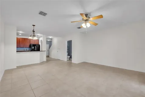 20408 Needletree Drive Tampa FL 33647
