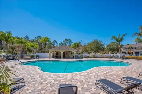 20408 Needletree Drive Tampa FL 33647