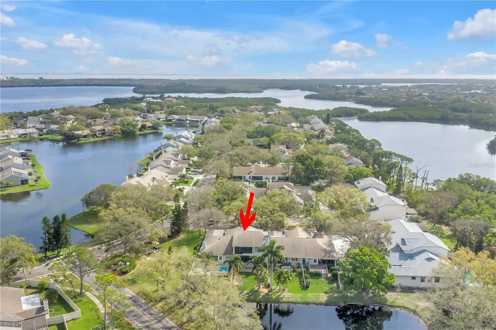 812 Amelia Court NE St Petersburg FL 33702