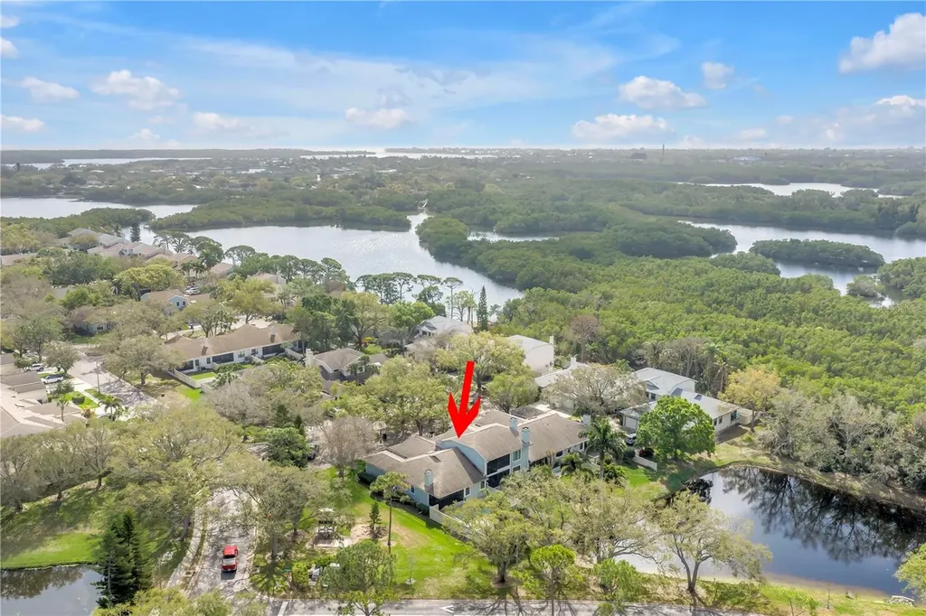 812 Amelia Court NE St Petersburg FL 33702