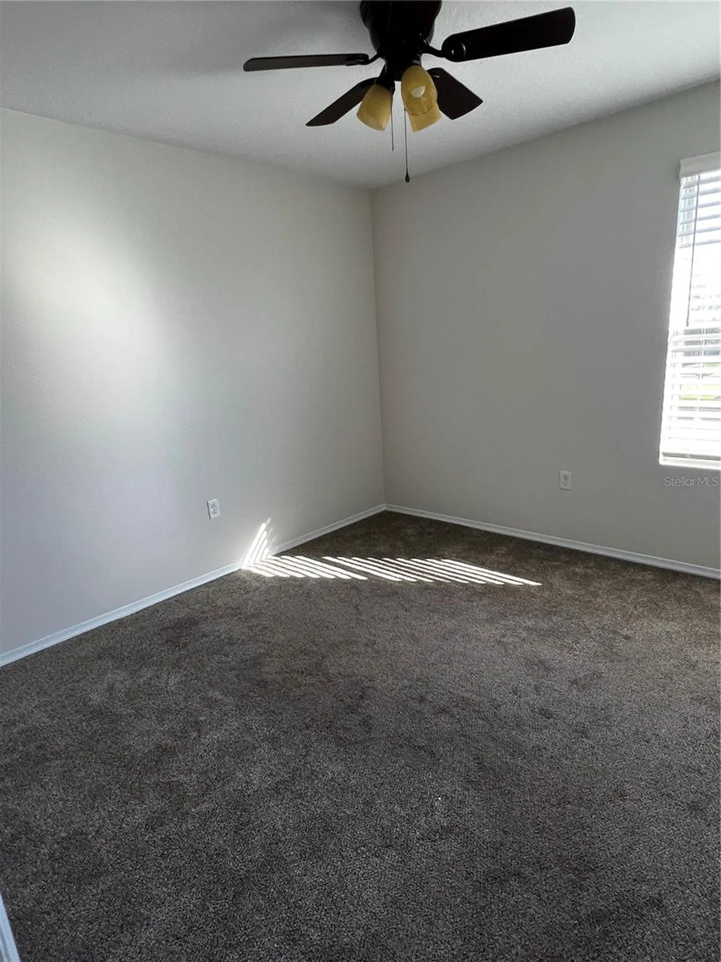 18916 Randall Place Land O Lakes FL 34638