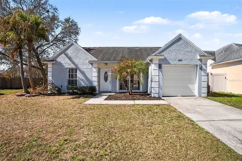 1657 Palm Leaf Drive Brandon FL 33510