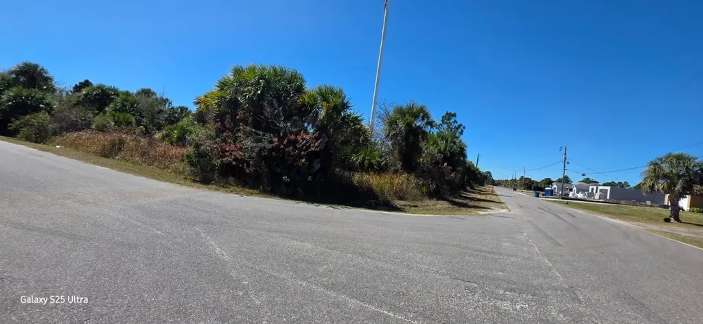 Ferdon Avenue SW Palm Bay FL 32908