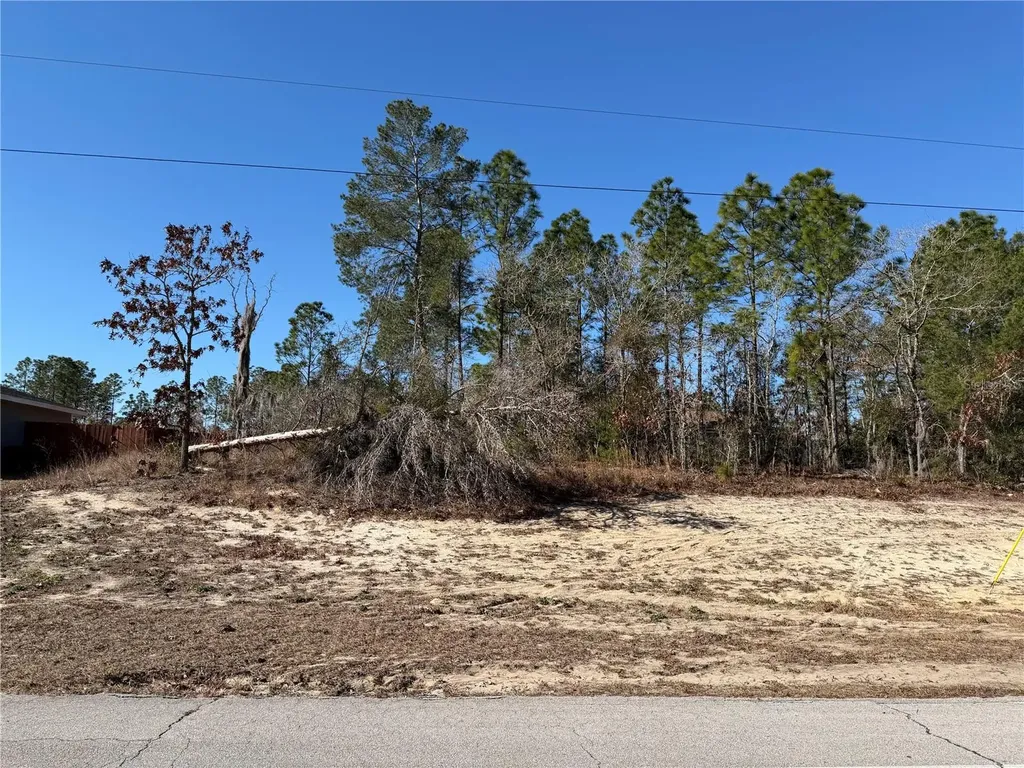 SW 135th Street Road Lot 12 Ocala FL 34473