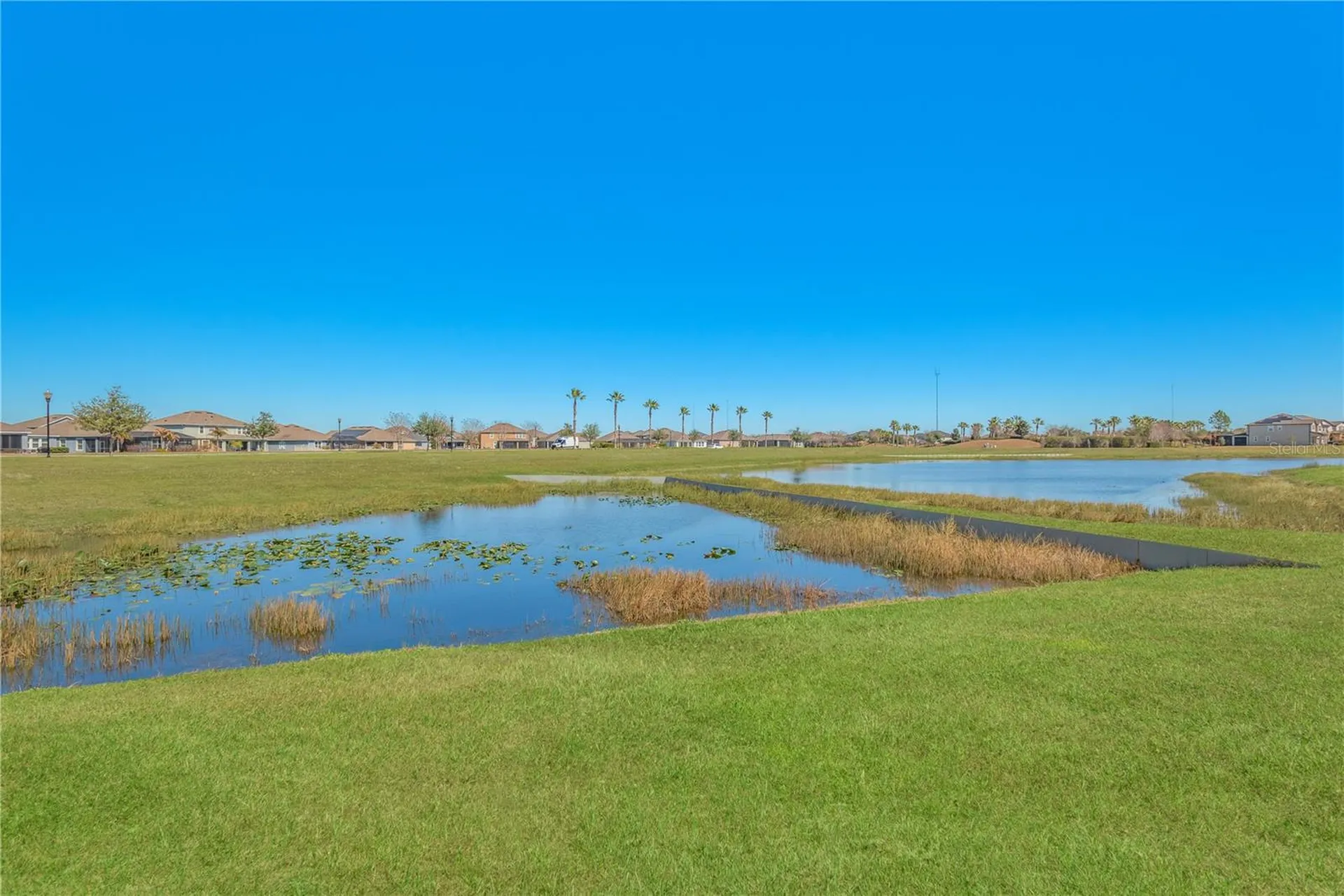 11908 Greenchop Place Riverview FL 33579